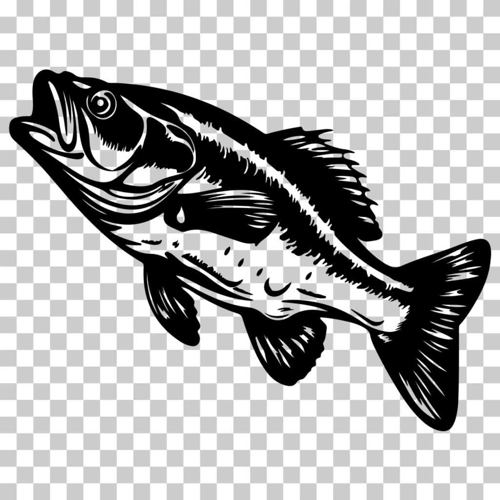 Fishing PNG Image Free Download